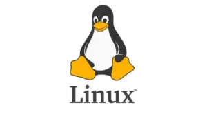 هجمات تستغل ثغرة Sudo الحرجة في أنظمة Linux