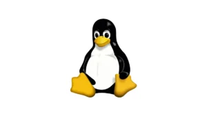 ثغرة Dirty Frag في نواة Linux تتيح رفع الصلاحيات إلى الجذر